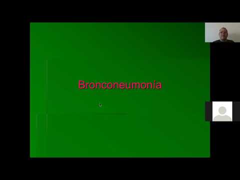 , title : 'VET110 CLASE07 PATOLOGIA SISTEMICA DR ROLANDO LOPEZ Bronconeumonía'
