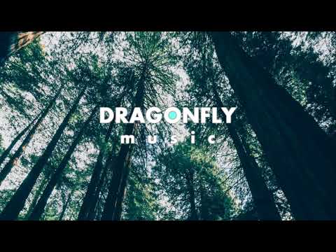 Ayjin - Free | 1 Hour Version