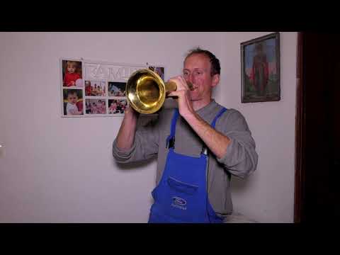 Biram selo ep. 129 09.03.2022. Domaćinstvo Radovina Mirkovića, Koštunići, stočarstvo, tovna goveda