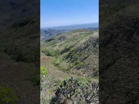 Mato Preto - Itacambira/MG 🤩