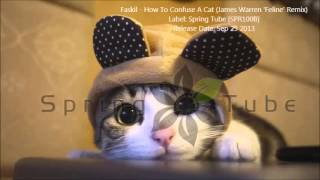 Faskil - How To Confuse A Cat (James Warren 'Feline' Remix)