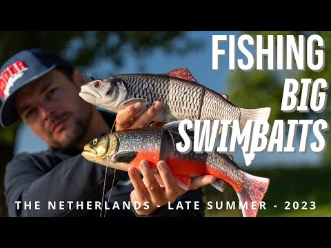 Big Swimbait Fishing - Custom Savage Trouts - Late Summer Pike Fishing