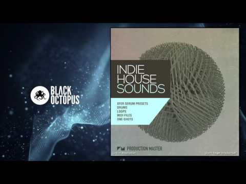 Indie House Sounds - Xfer Serum Presets & Samples