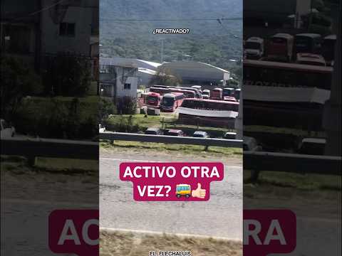GALPÓN EN SALTA 🚌 #shorts #bus #salta #flechabus #lavelozdelnorte #bus #busologo #pov #travel