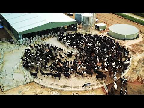 Warren Farms New Dairy – DAVIESWAY