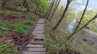 Relaxation nature hiking sounds with wild birds Northumberland England ultrawide
