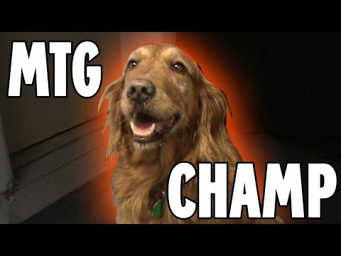 Return of the Greatest MTG Player Who's Ever Lived