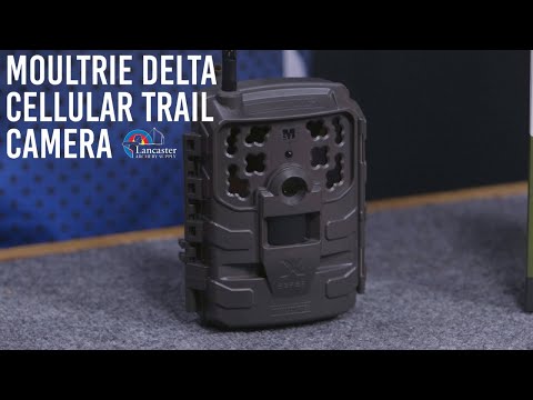 Moultrie Delta Cellular Trail Camera