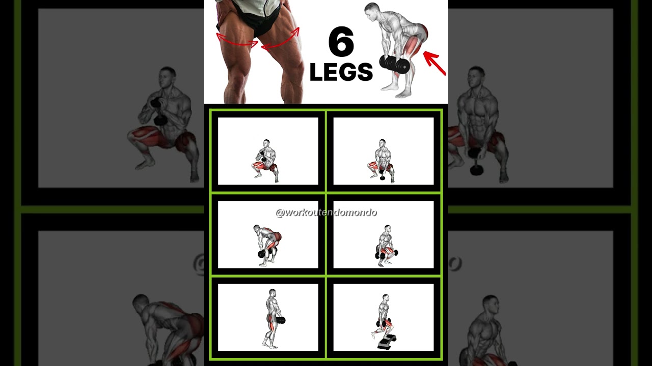 Leg Day Revolution: Best Dumbbell Leg Workouts for Strength & Size!