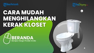 Wajib Dicoba! Begini Cara Menghilangkan Kerak Air di Kloset dengan Bahan yang Ada di Rumah