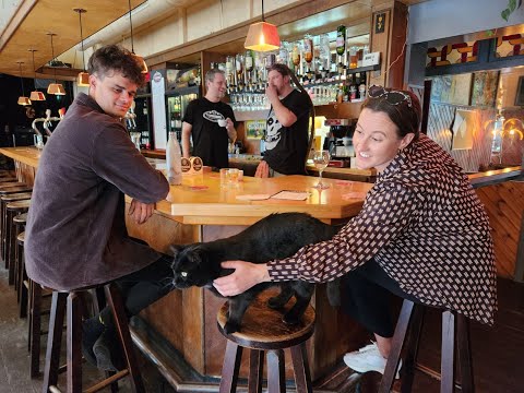 Swamp Stompers Europe Tour