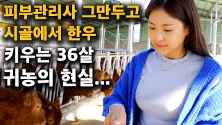 '시골 진짜 오시려구요..?' 피부관리사 그만두고 소키우는 36살 미모의 여자농부, 귀농 현실은..? [귀농…