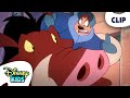 Timon And Pumbaa Visit Pumbaa S Uncle Boaris The Lion King S Timon Pumbaa Disneykids