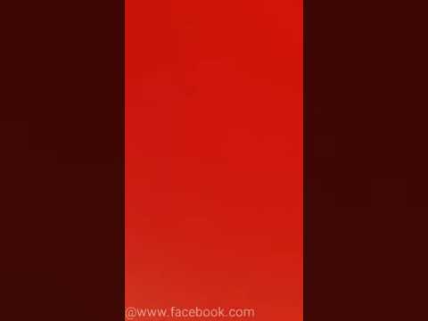 thadys martin joyce message to red john Joyce's family