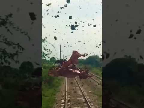 when in train.. train accidentaly hit donkey #train #railway #reels #tiktok #shorts