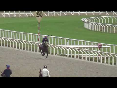 CATCH VERSAL-REVISTA INVASOR