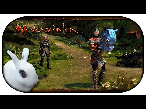 NEVERWINTER: Paladin-LP 🐇 101 - Das BESTE Pferd der Welt!