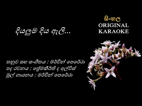 Diyaluma Diya Eli - දියලුම දිය ඇලි - KARAOKE - Mervin Perera/Premakeerthi de Alwis/Mervin Perera