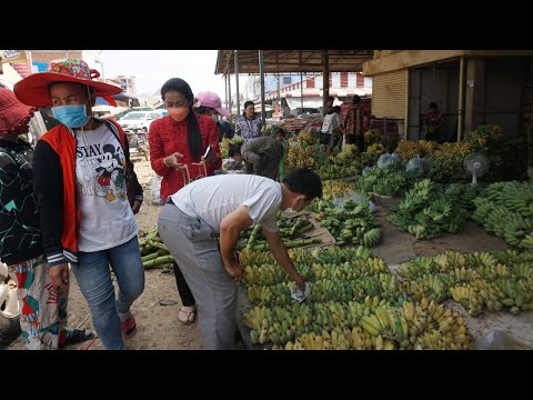 Fresh Fruit & Food @Countryside - Walk Around Countryside Market in Phsa Houy Leng Banteaymeanchey