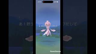 プルリル大 #pokemongo #pokemon #ポケgo #pokémon
