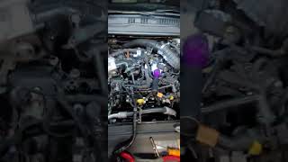 GDI Carbon Cleaning - Ford 2.7L v6.    fusion sport 2018 part 1