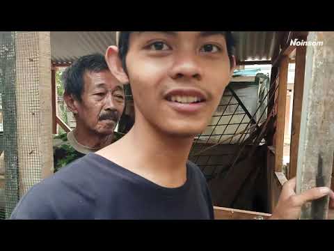 ngintip-lele-nya-fikri