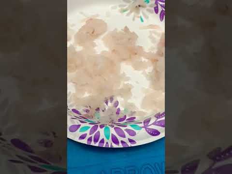 Early morning fish feeding frenzy! 😎🐟