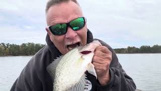 Crappie Condos love Crappie Gilley - High Rock Lake