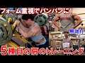 【筋トレ】三角筋全体を丁寧なフォームで追い込む5種目の肩のトレーニング&セット間のポージング3種【解説付】