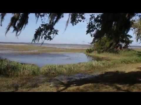 Quality Inn - Brunswick, GA