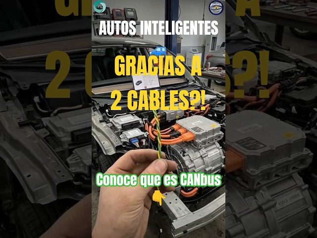 CAN Bus