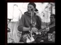 ZENZILE - SMELL THE ROSES 