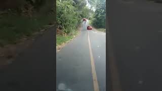 Download lagu Tanjakan ekstrim! Tamborasi lintas Sulawesi tenggara#trucksulawesi #sulawesitenggara #nmr71 mp3