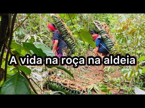 A vida na roça na aldeia