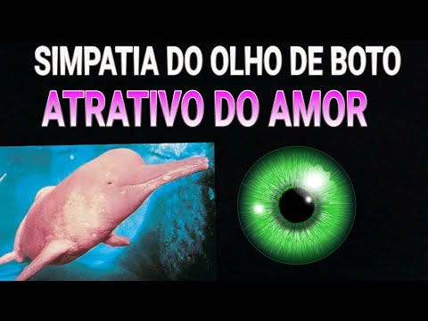 SIMPATIA DO OLHO DE BOTO ATRATIVO DO AMOR