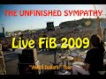 THE UNFINISHED SYMPATHY | Live FiB Benicassim 2009/7/18 | "Avida Dollars" Tour | FULL SHOW!