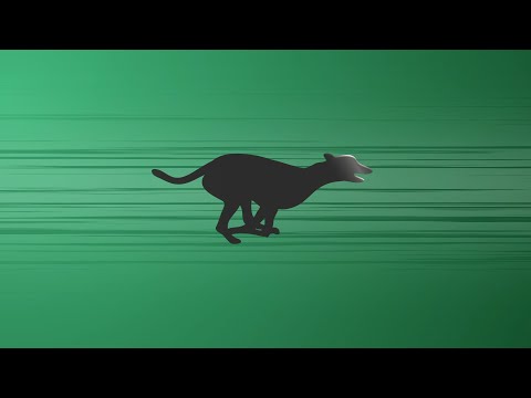 RCÉ/GRI Winter Racing Festival Review with Talking Dogs