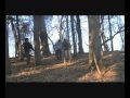 Say Anything- Yellow Cat Slash Red Cat Music Video