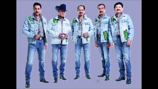 La Mesera 🎶 Los Tigres del Norte