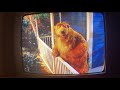 Closing To Bear In The Big Blue House Early To Bed Early To Rise 2001 VHS 2004 Reprint Part 1