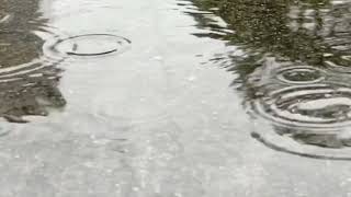 【著作権フリー音楽】Dancing in the Rain 4【配信 作業用 勉強用】
