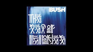 Bush - The Heart Of The Matter