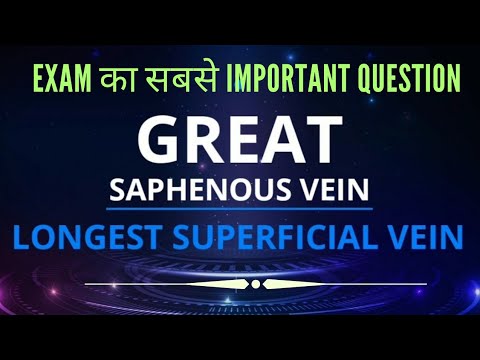 GREAT SAPHENOUS VEIN