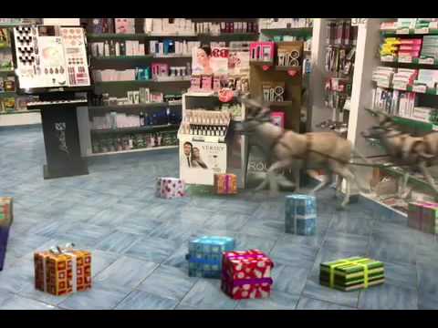 Babbo Natale entra in farmacia con le renne e combina un pasticcio