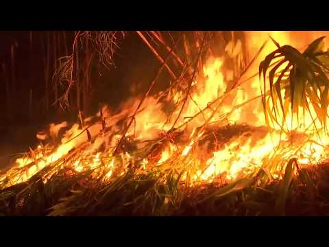 Extremwetter in Europa: Der Süden steht in Flammen, der Norden im Wasser