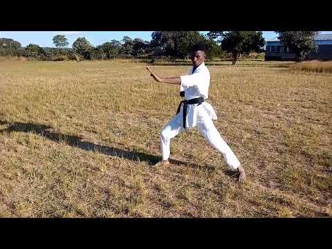 Martial arts movements Zambia 🇿🇲