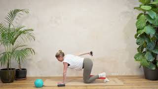 28 Min Hips & Arms Strength & Stability with Small Ball & Bands