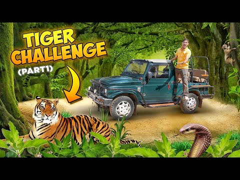 Finding Tiger Challenge in Jungle | क्या हम टाइगर ढूंढ पाएंगे? Unexpected Happened