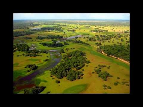 Dori Caymmi & Paulo César Pinheiro - Rio Amazonas - [HD]