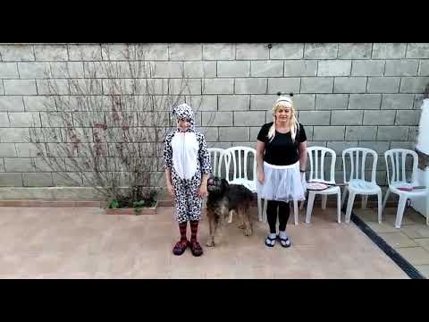 YouTube Video Thumbnail
